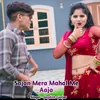 Sajan Mera Mahal Me Aaja